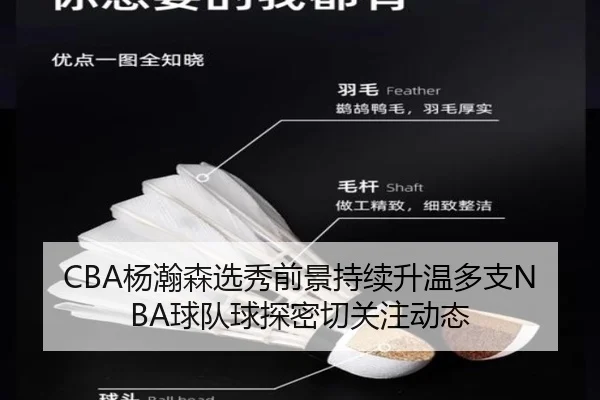 CBA杨瀚森选秀前景持续升温多支NBA球队球探密切关注动态